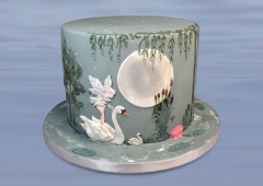 Classes with Marion - Fairy and Swan Cake